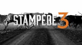 TACC Stampede3: Sapphire Rapids s HBM2E pamětí a Ponte Vecchio compute GPU