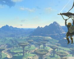 Fanoušek The Legend of Zelda: Slzy království předvádí ohromující dřevěný obal pro hru.