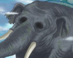 Fantastický svět One Piece: Nekonečné možnosti a dobrodružství