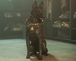 Hra Warzone obviněna z pay-to-win systému kvůli nezabíjitelnému psímu společníkovi