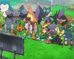 "Pokemon Presents: Očekávejte aktualizace a novinky!"