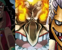 Záhadný a nebezpečný svět One Piece