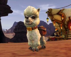 "Kontroverzní nové WoW Twitch odměny zahrnují bývalé charitativní zvíře"