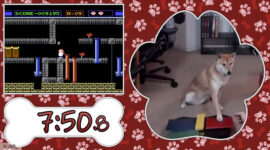Sledujte, jak pes Peanut Butter běhá rychlostní hru AGDQ 2024!