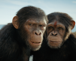 "Království Planeta opic: Pohled do nového rozpolceného světa"