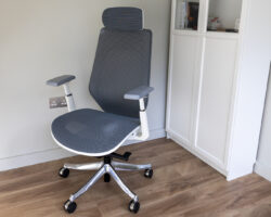Recenze kancelářského křesla FlexiSpot Ergonomic BS11 Pro/C8