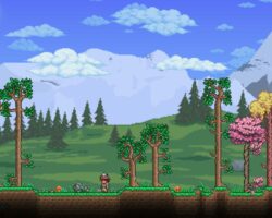 Velikost mapy a biomy v Terrarii: jak fungují?