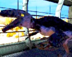 Nový FPS s prvky Deus Ex a Half-Life a dinosaury - vyzkoušejte ho nyní