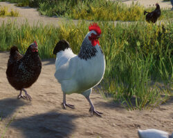 Planet Zoo se mění na Planetu Mazlíčků v nově oznámeném DLC