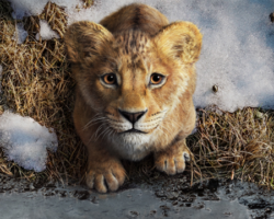 Představení hraného prequelu Lvího krále v traileru Mufasa