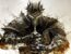 PC hra Lords of the Fallen 2
