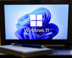 Windows 11
