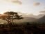 Way of the Hunter 2