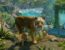 Planet Zoo 2