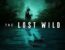 The Lost Wild