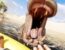 Hra Stranded Deep 2